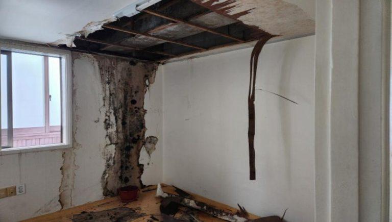 배관 누수로 인한 실내 벽 천장 습기 및 곰팡이 피해 복구 필요.