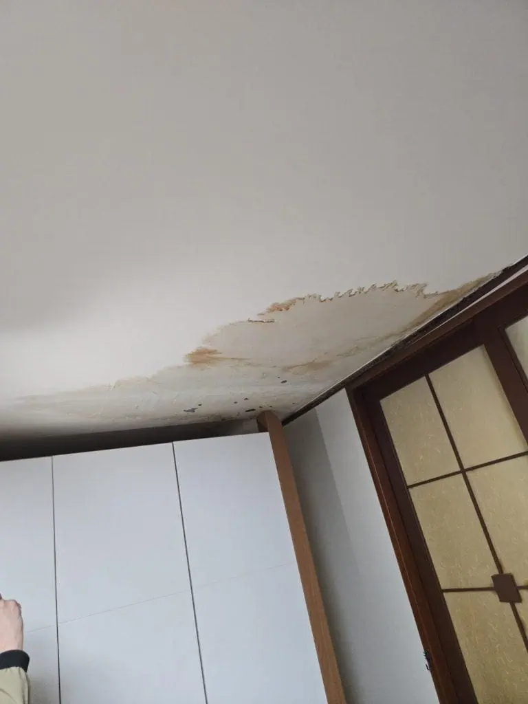 누수 피해 복구, 물손상 방지, 천장 누수 수리 전문.