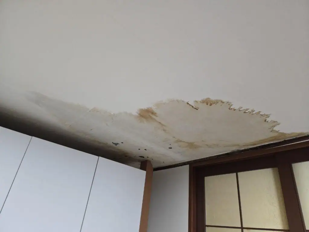 누수로 인한 천장 물받이, 곰팡이 및 손상 방지 필요.