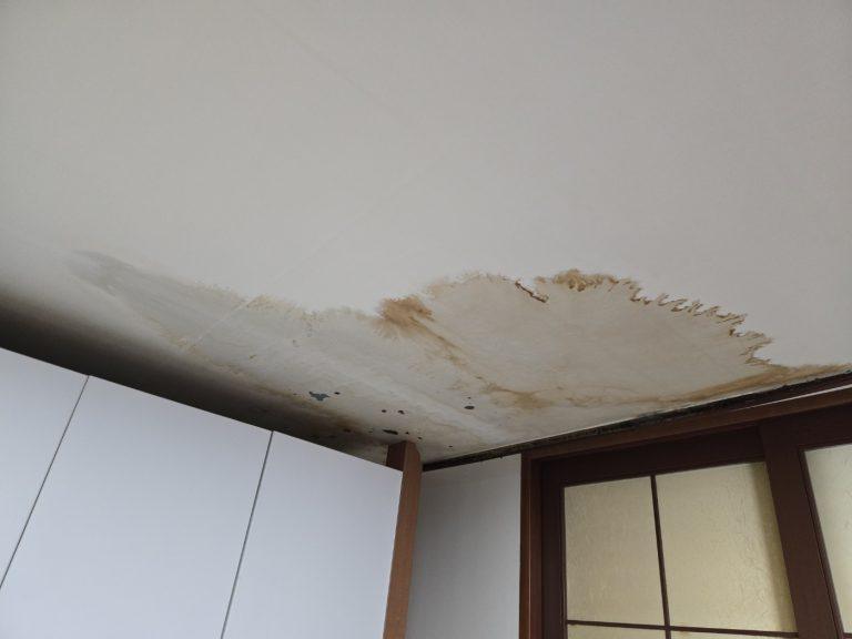 누수로 인한 천장 물받이, 곰팡이 및 손상 방지 필요.