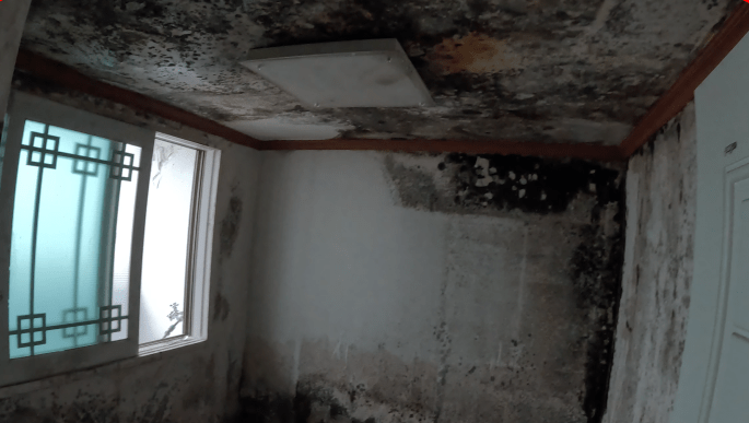 화성 아파트 누수 피해 현장 점검