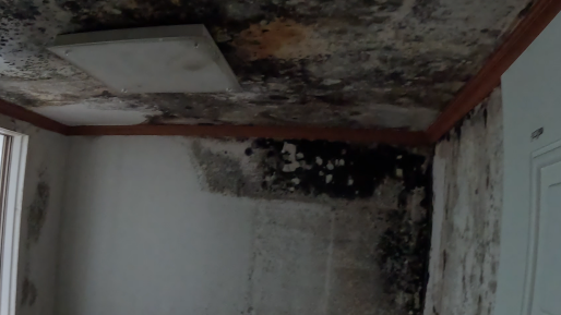 성남 누수탐지 아래층 천장 젖음 피해 현장