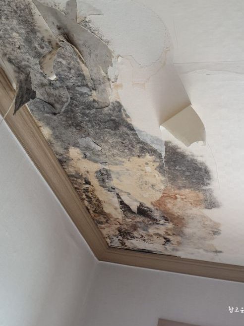 향남 아파트 누수 지하 피해 현장