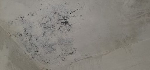 노원구 아파트 누수 피해 및 열화상 카메라 탐지