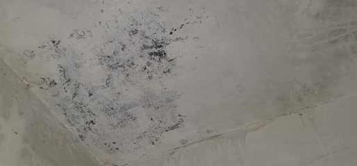 노원구 아파트 누수 피해 현장 점검