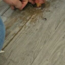 가스 탐지기 최대 수치 도달 및 위치 선정